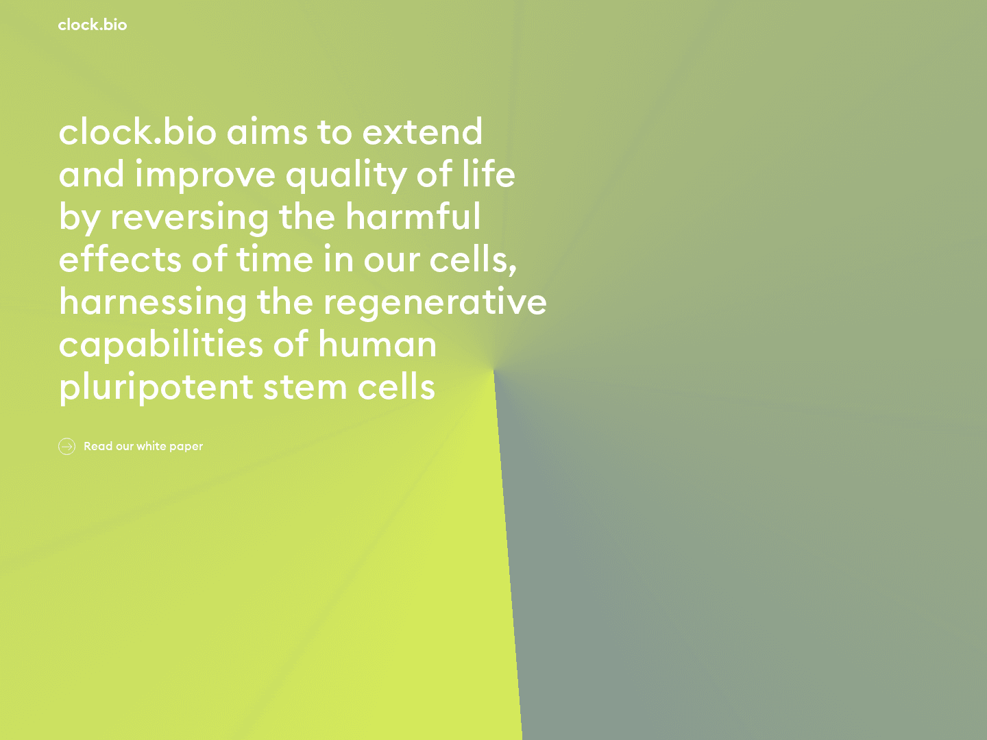 "Clock.bio Secures $5.3 Million for Rejuvenation Research"
