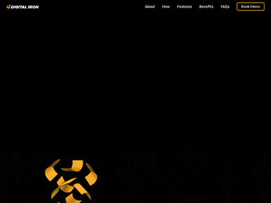 Digital Iron concept ventures startup