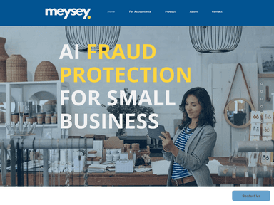 Meysey qventures startup