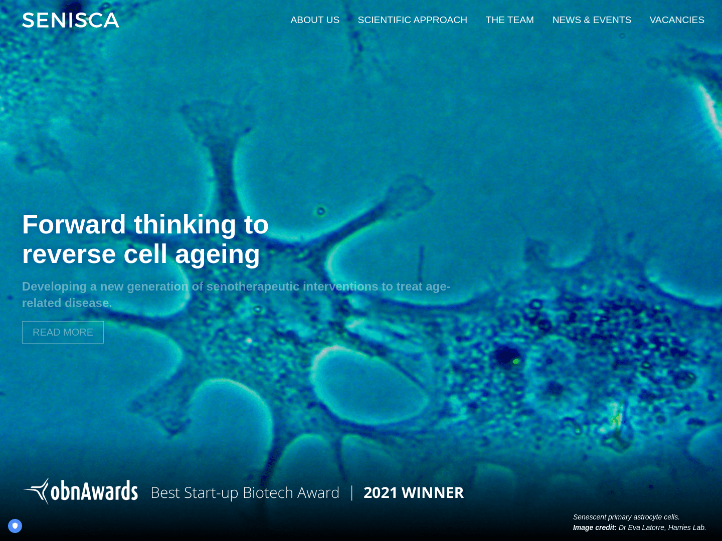 Senisca Receives £3.7M Funding to Develop RNA-Based Senotherapeutics