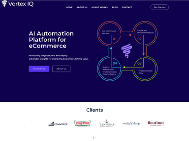 Vortex IQ business-intelligence startup