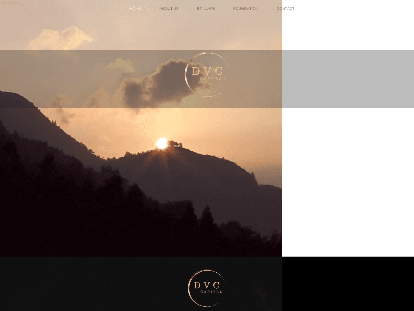 DVC