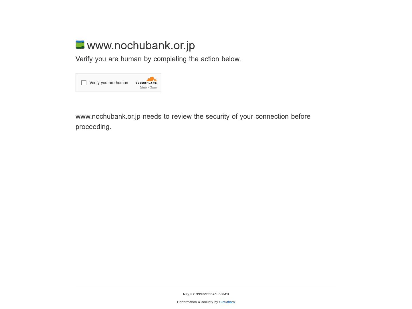 The Norinchukin Bank