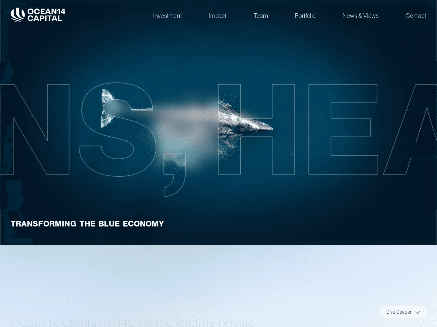 Ocean 14 Capital