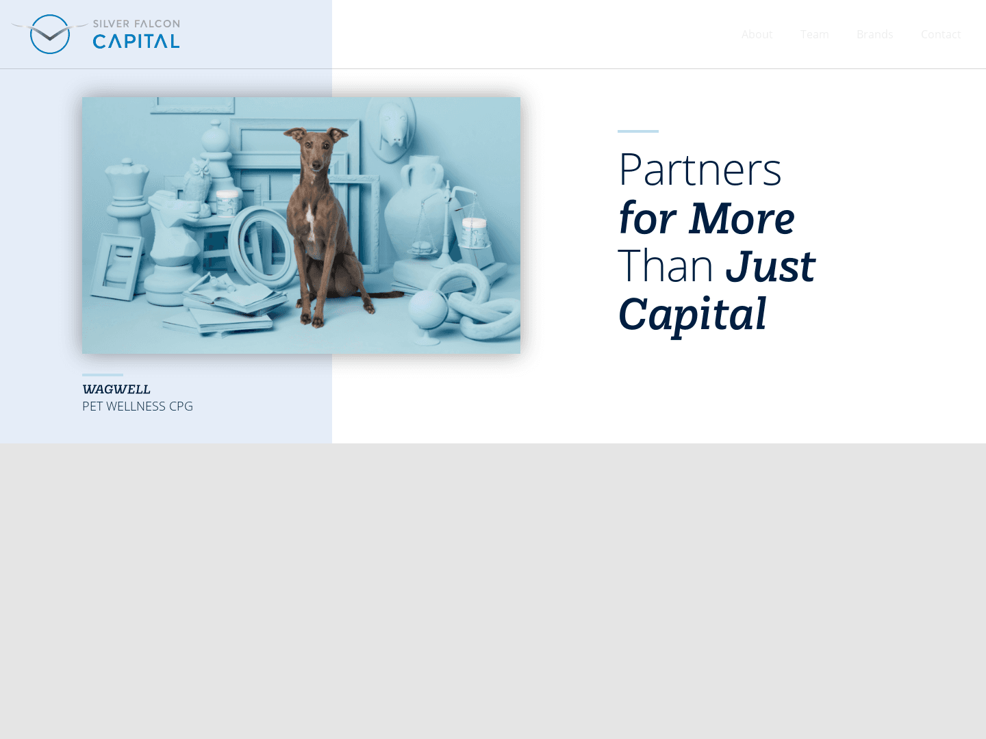 Silver Falcon Capital