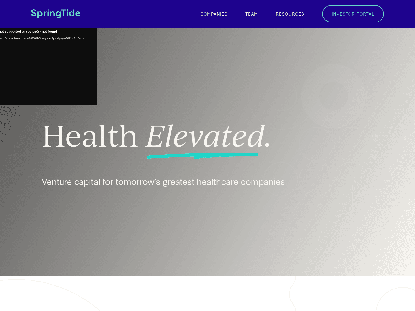 Springtide Ventures Fund