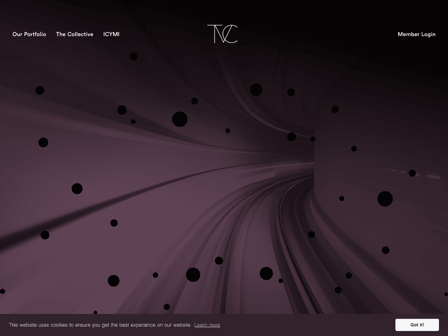 The Venture Collective