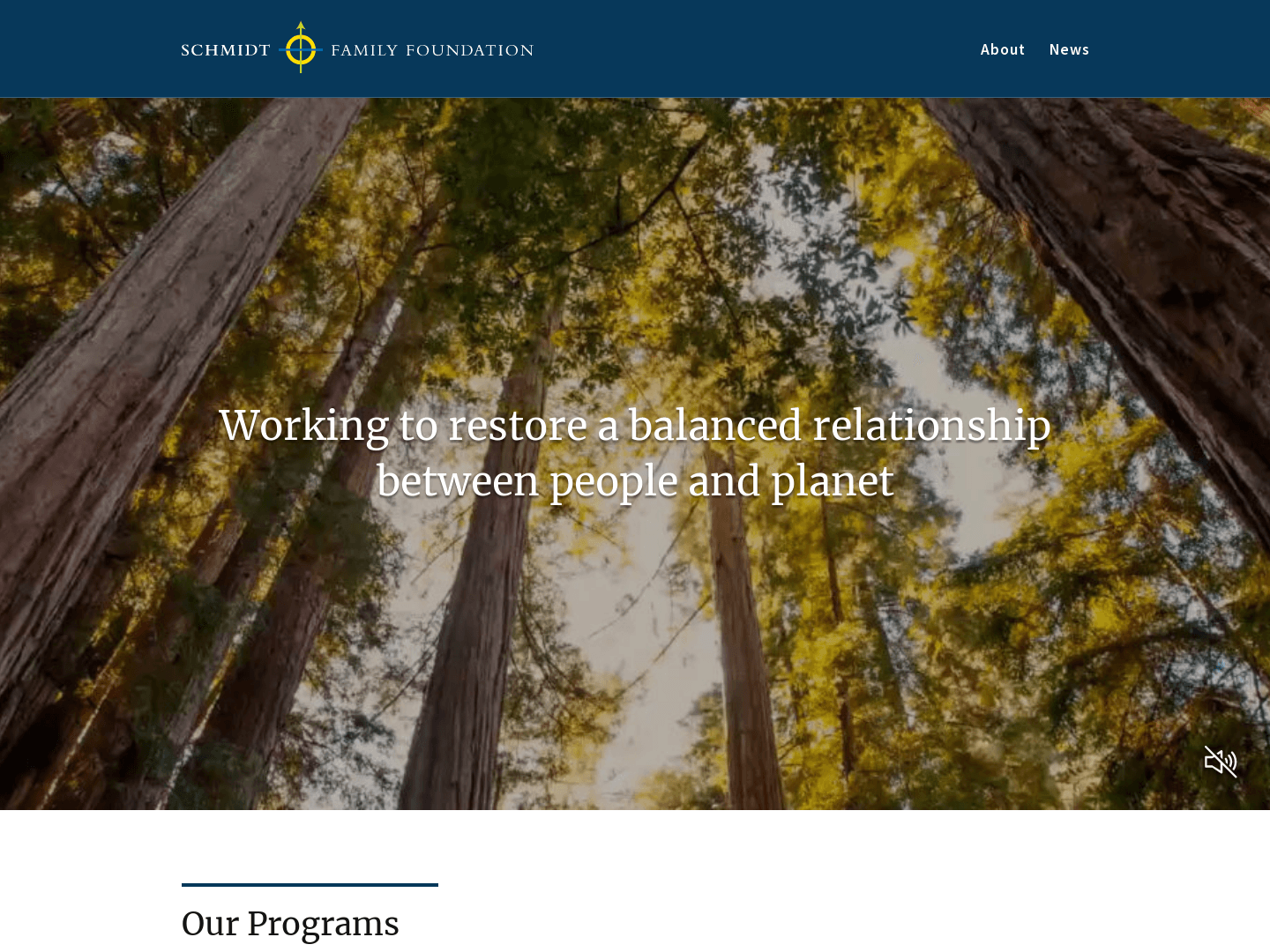 Schmidt Family Foundation