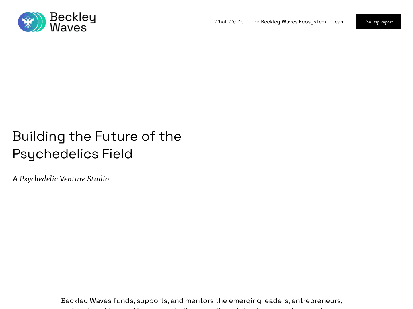 "Beckley Waves Secures $3.3M Funding for Psychedelic Ecosystem Expansion"