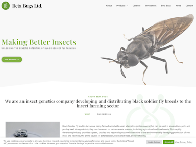 Beta Bugs edinburgh startup