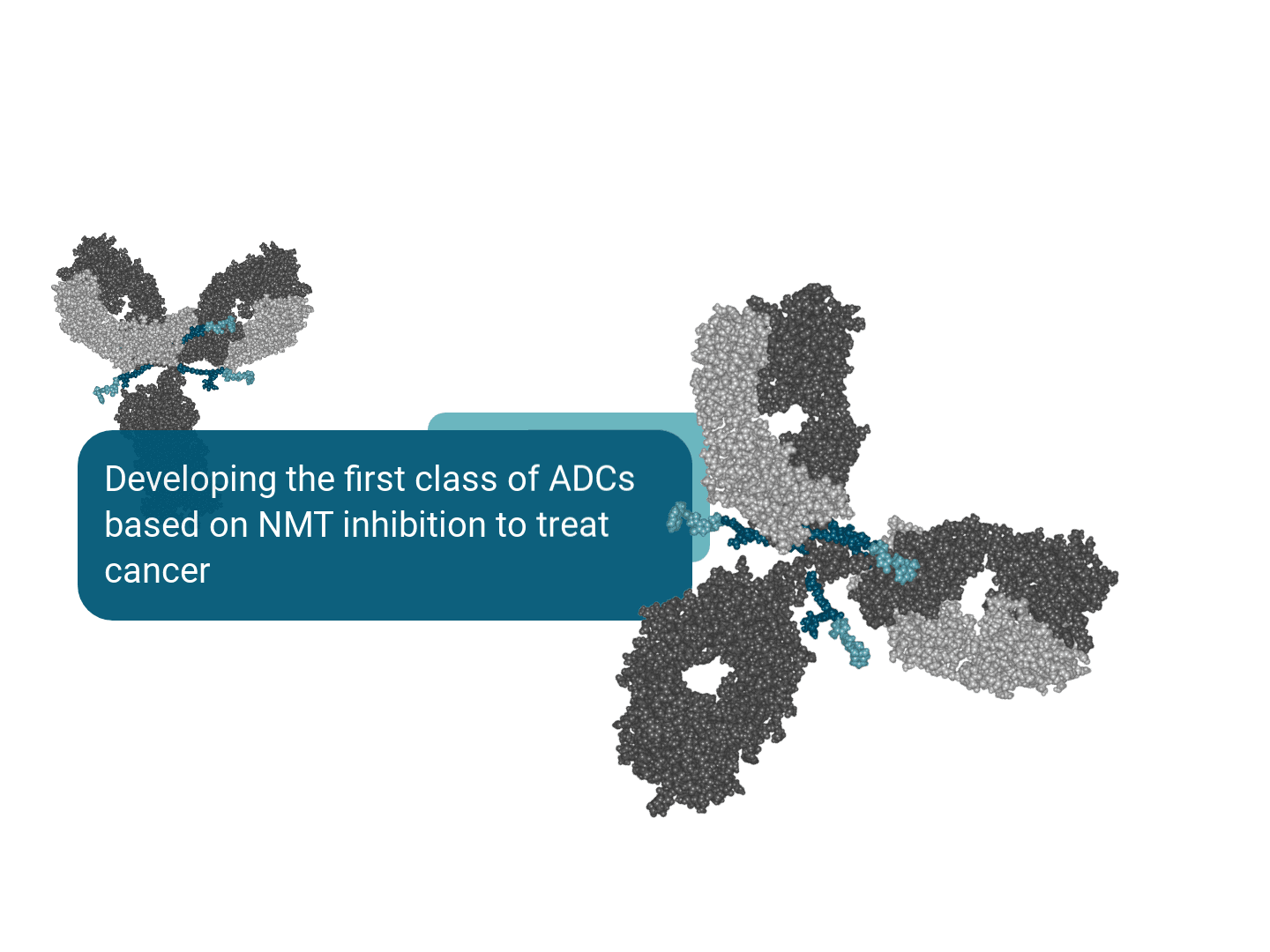 Myricx Bio Raises £90M for Cancer Drug Development