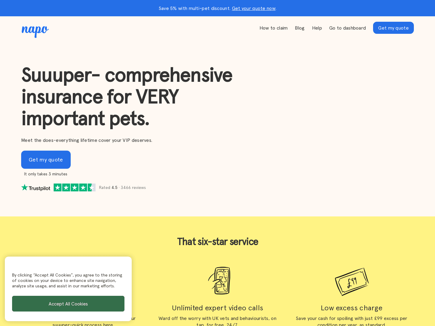 Napo Secures £12M Funding for Pet Insurance Growth