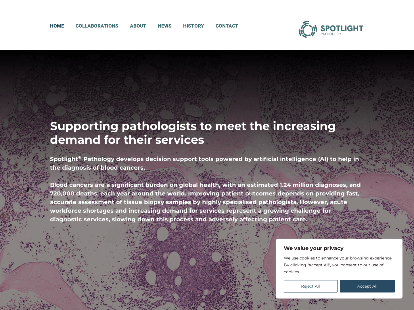 LYVA Labs Invests in Female-Led AI Health Startup Spotlight Pathology
