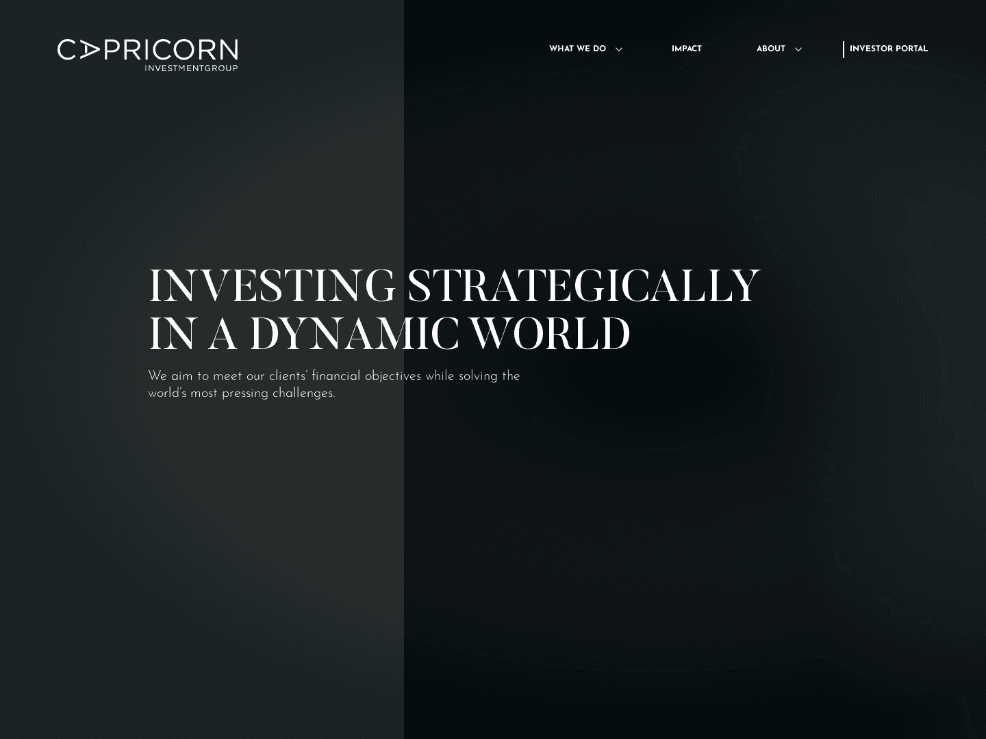 Capricorn Capital Partners
